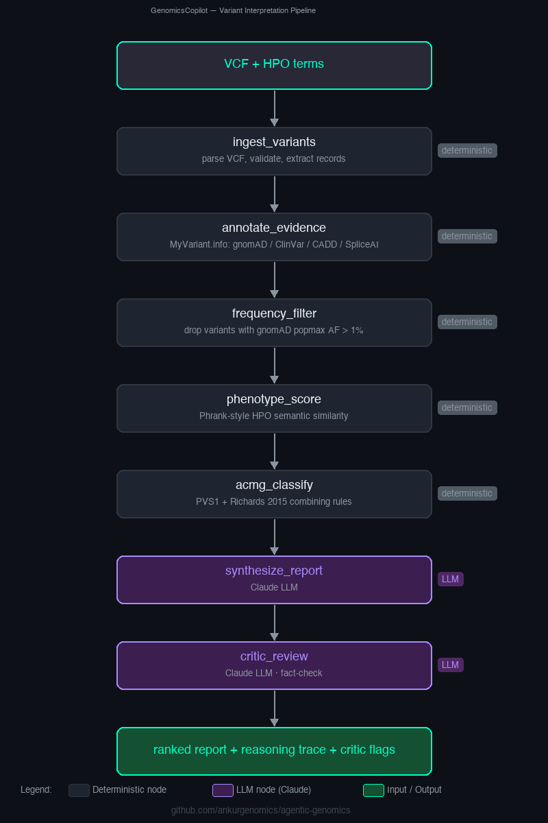 GenomicsCopilot pipeline: VCF + HPO → ingest_variants → annotate_evidence → frequency_filter → phenotype_score → acmg_classify → synthesize_report → critic_review → ranked report