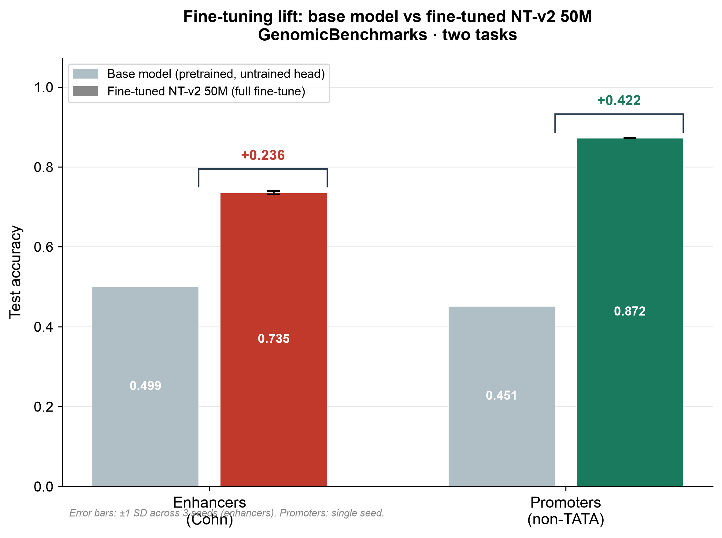 Fine-tuning lift: base NT-v2 50M (untrained head) vs fine-tuned NT-v2 50M on GenomicBenchmarks. Enhancers: 0.499 → 0.735 (+0.236). Promoters: 0.451 → 0.872 (+0.422).